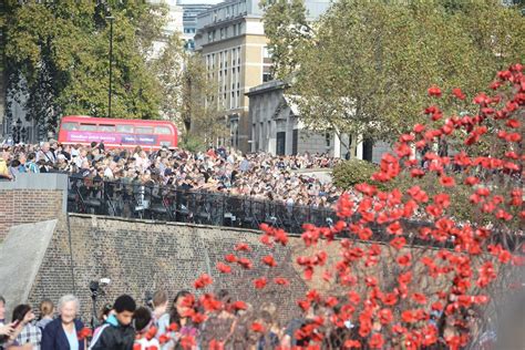 Tower of London poppies: Queue chaos as tens of thousands turn up to ...