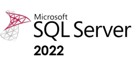 Microsoft Sql Server 2022 Logo