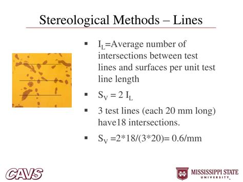 PPT - A Brief Introduction to Stereology PowerPoint Presentation, free ...