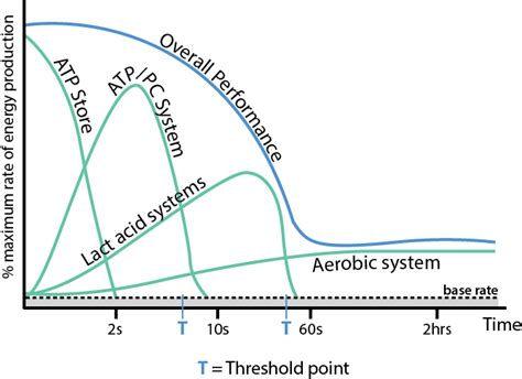 Unit 2 - Energy Systems and their application to training principles