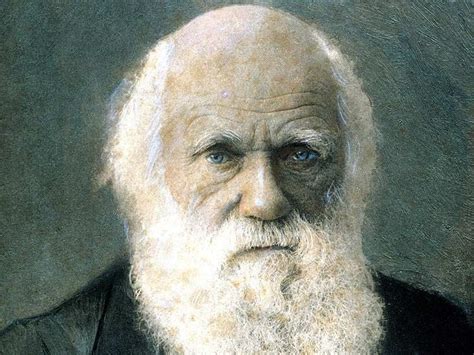 Darwinian Revolution Darwin Theory, Human Evolution, Natural Selection, Charles Darwin ...