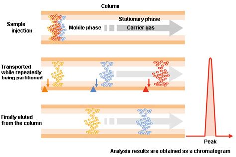 Column Gas Chromatography