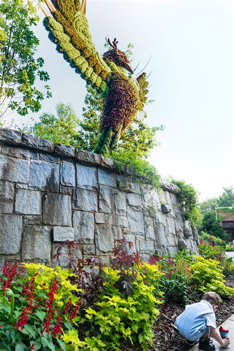 Take A Photo Tour of the Incredible "Imaginary Worlds" | Atlanta Botanical Garden - Jen ...