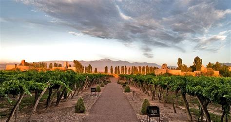 Argentina - Wines of the Andes: Buenos Aires, Salta & Mendoza or Viceversa - 10 days by ...