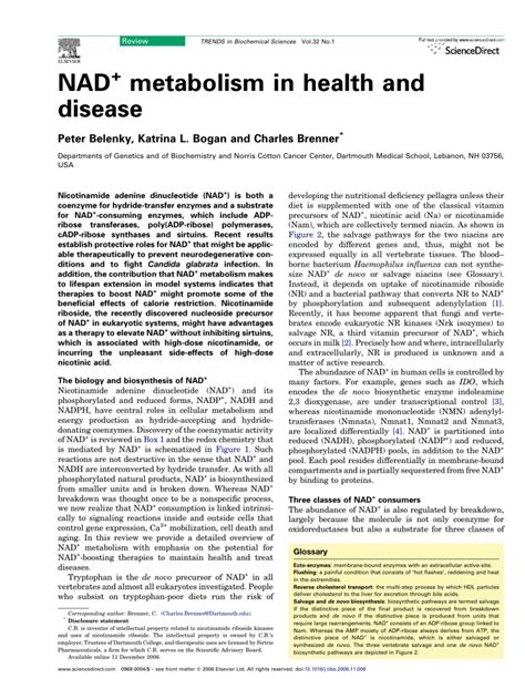 NAD metabolism in health and disease