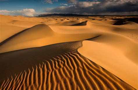 How Singing Sand Dunes Produce Desert Music | Discover Magazine