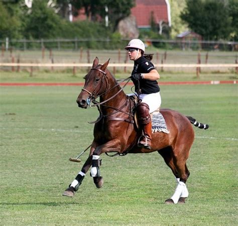 Horse Polo Equipment: Everything You Need To Play!