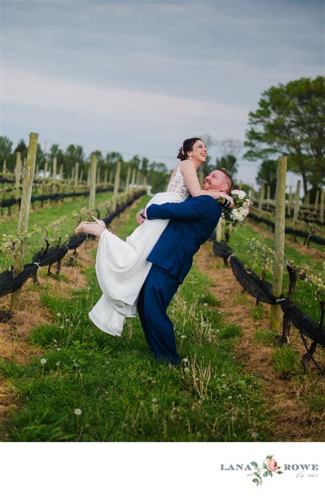 The Vineyards at Aquebogue in the vines - Long Island Wedding & Portrait Photographer Lana Rowe ...