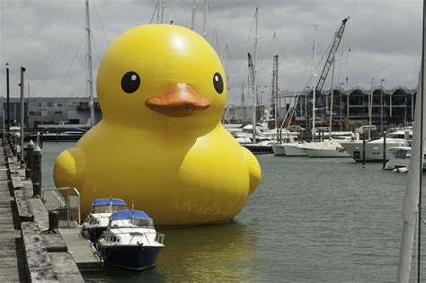 History of the Rubber Ducky - Mr. Mault's Marketplace