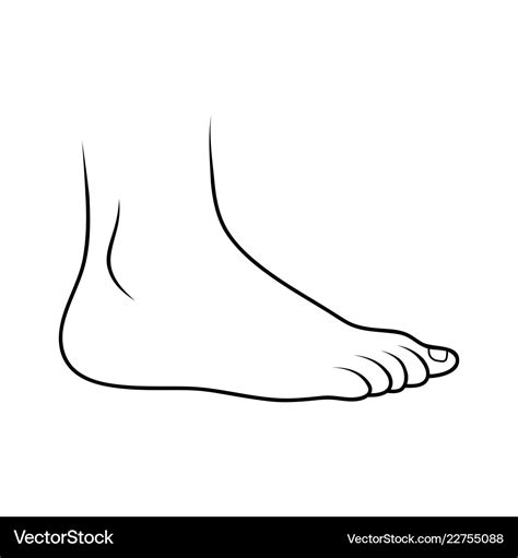 Foot icon outline design isolated on white Vector Image