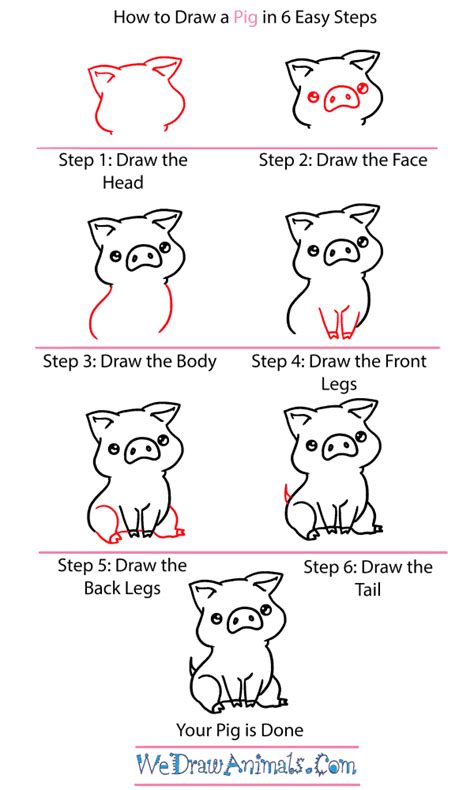 Easy How To Draw A Pig Tutorial Video And Pig Colorin - vrogue.co