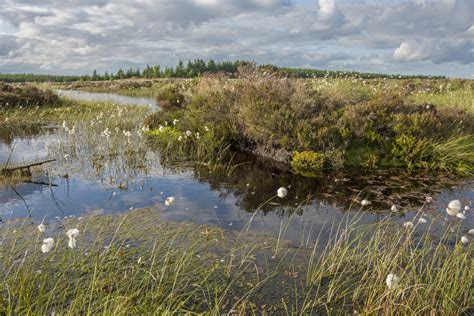 Peat, Pollen and People • Northumberland National Park