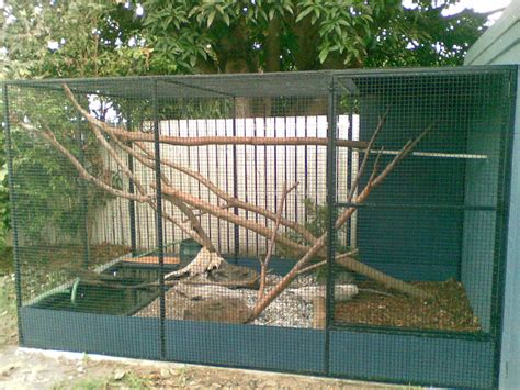 New Mertens Water Monitor Enclosure - Aussie Pythons & Snakes | Water monitor, Snake enclosure ...