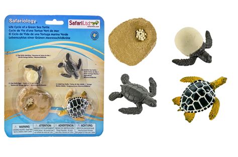 Buy Safari Ltd. Life Cycle of a Green Sea Turtle - Educational Toy Figurines - Miniature Turtle ...