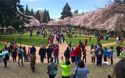 university of washington ranking – CollegeLearners.com