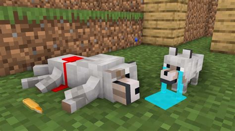 Download A loyal Minecraft wolf standing proudly in the wilderness Wallpaper | Wallpapers.com