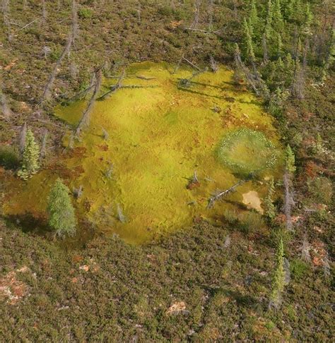 Permafrost is thawing so quickly in the Arctic it's leaving sinkholes - CBS News