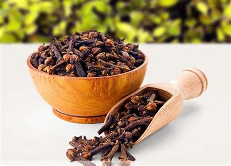 Clove Seeds by Shree Keshav Enterprises from Neemuch Madhya Pradesh | ID - 1611100