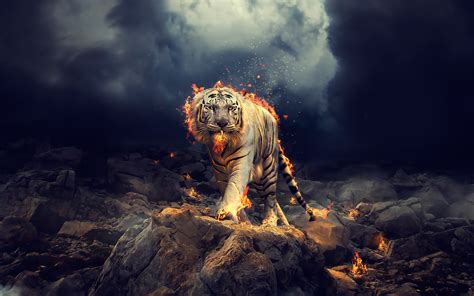 Raging White Tiger Wallpapers - White Tiger Hd - 3200x2000 Wallpaper ...