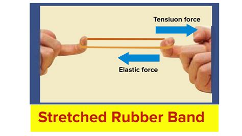 Name the force acting on a stretched rubber band.