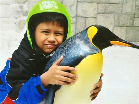 Snow Penguins Encounter at Ski Dubai | Cuddles and Crumbs