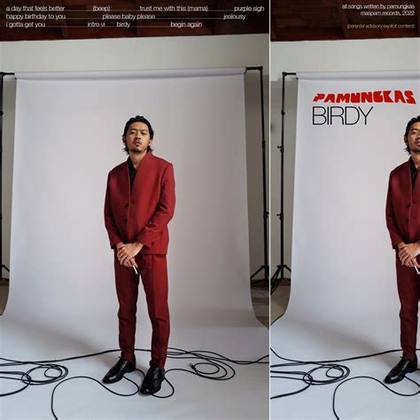 Pamungkas – ‘Birdy’ review: limp and flightless