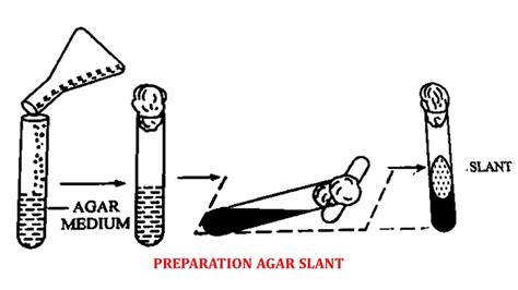 To Prepare Nutrient agar stab and slant - Pharmacy India