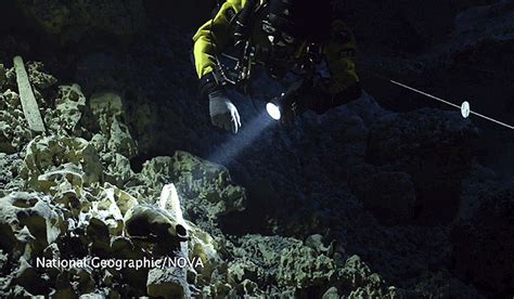 Girl's skeleton in underwater cave tells UT researchers about American faces