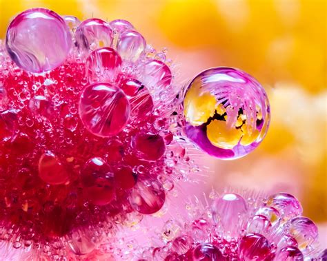 How to Shoot Refraction Macro Photos in Water Drops, Glass Beads and More - Photography Informers