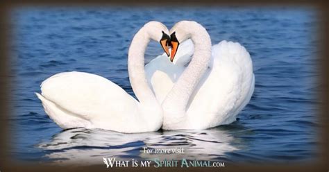 Swan Symbolism & Meaning | Swan Spirit, Totem, & Power Animal