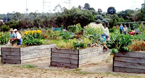 New Community Garden Open House | Edible Garden Project