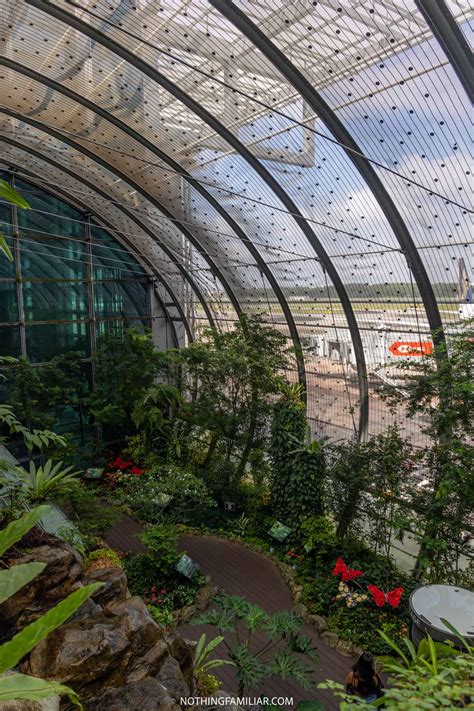 How to Visit the Beautiful Singapore Butterfly Garden at the Airport!