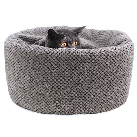 Cute Cats | Washable pet bed, Kitten beds, Small pet bed