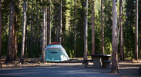 tent camping in yellowstone | Family tent camping, Camping in georgia, Yellowstone camping