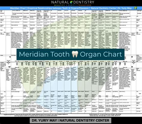 Tooth Organ Meridian Chart: A Visual Reference of Charts | Chart Master