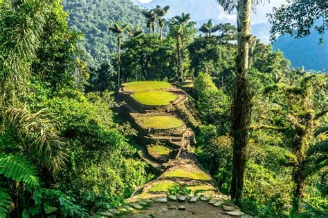 How to Trek Colombia's Lost City (Ciudad Perdida) - Thrifty Nomads