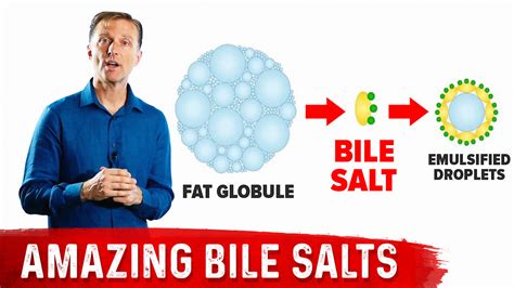 The 9 Benefits of Bile Salts