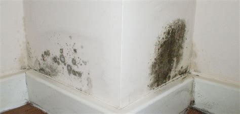 How to Fix Condensation on Interior Walls | Top 5 Causess