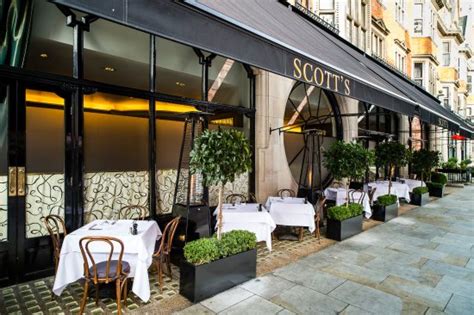 Seafood dinner - Scott's, London Traveller Reviews - Tripadvisor