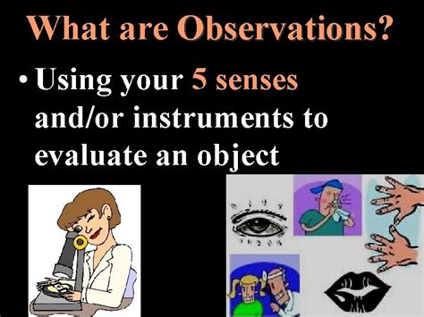 Part 1 A Observations Inferences What are Observations