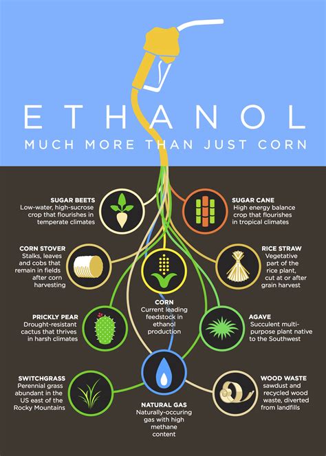 What Is Ethanol In Gas : How Much Ethanol / E85 is in your car's gas tank? This ... / Gasoline ...