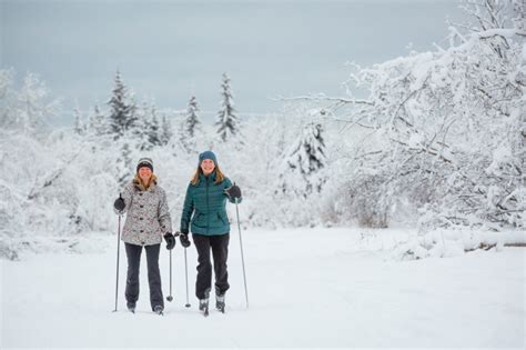 18 Stunning Images From Winter in Fairbanks, Alaska