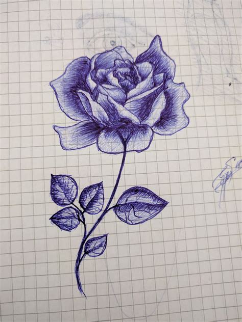 Ballpoint pen rose sketch by me. : r/drawing