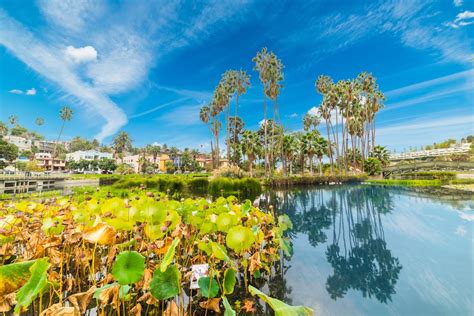 Best Parks in Los Angeles - Lonely Planet