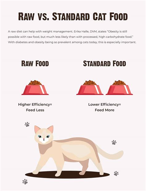 Should You Feed Your Cat a Raw Diet? 11 Questions to Ask First | RAWZ