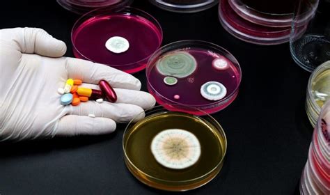 Senate hearing highlights superbug threats, solutions | CIDRAP