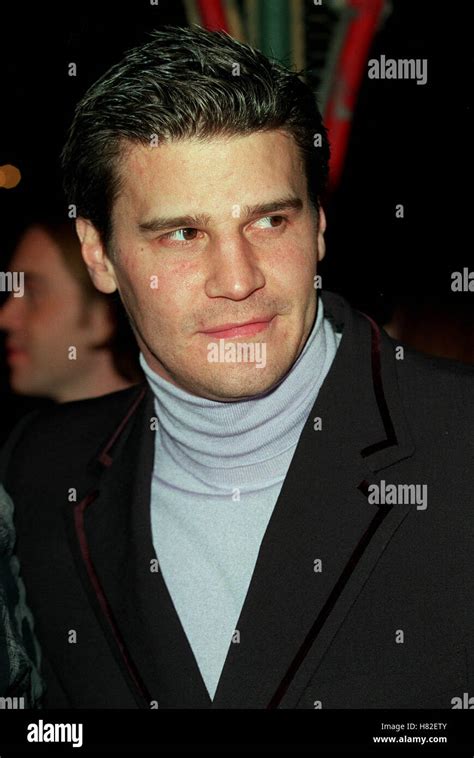 DAVID BOREANAZ "VALENTINE" LA PREMIER HOLLYWOOD LA USA 01 February 2001 Stock Photo - Alamy