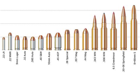 Ammunition by Caliber: A Guide to Bullet Sizes