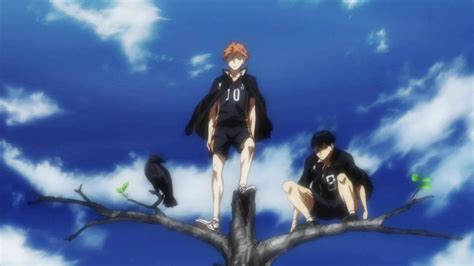 Live Haikyuu Wallpapers - Wallpaper Cave