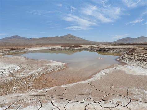 The first rains in centuries in the Atacama Desert devastate its microbial life | Science Codex